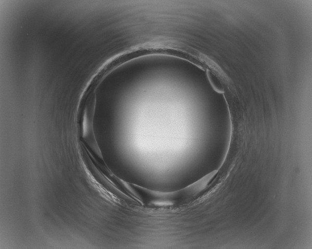 X0000083970934200702161100