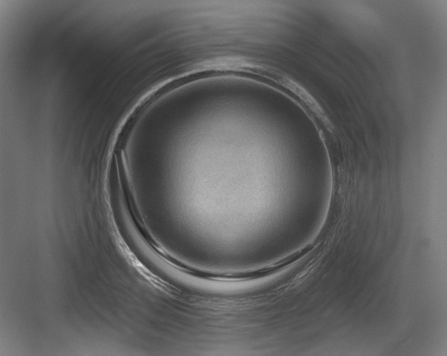 X0000083970939200702161100