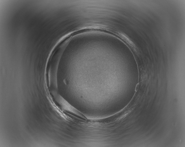 X0000083970940200702161100