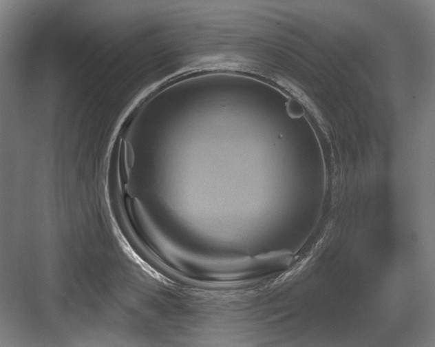 X0000083970941200702161100