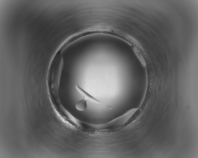 X0000083970942200702161100
