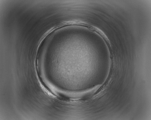 X0000083970946200702161100