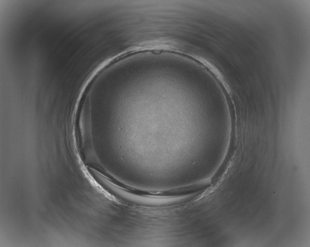 X0000083970949200702161100