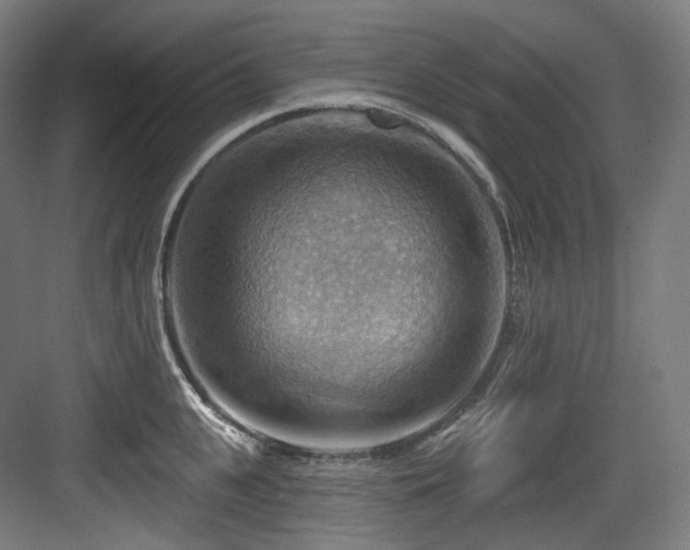 X0000083970951200702161100