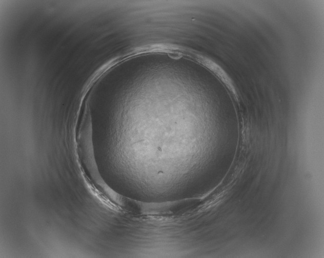 X0000083970954200702161100