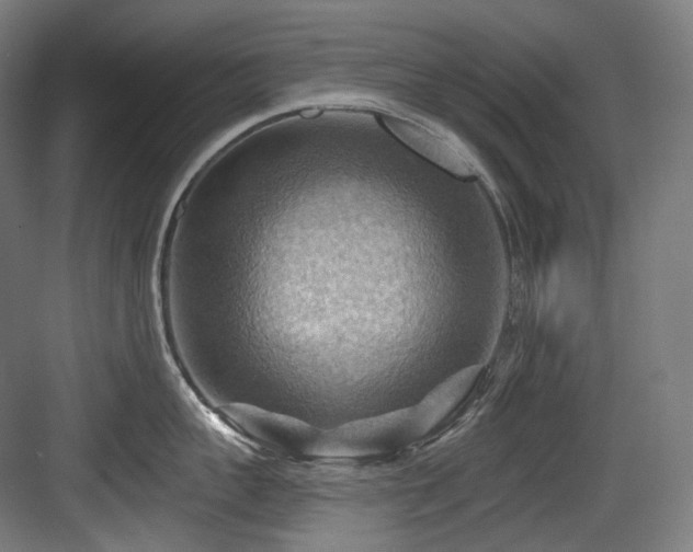 X0000083970959200702161100