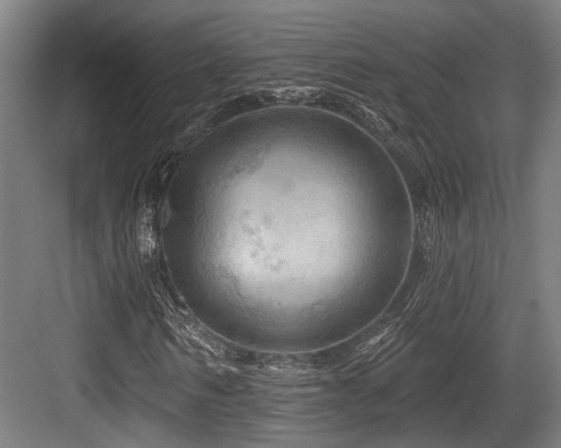 X0000083970962200702161059