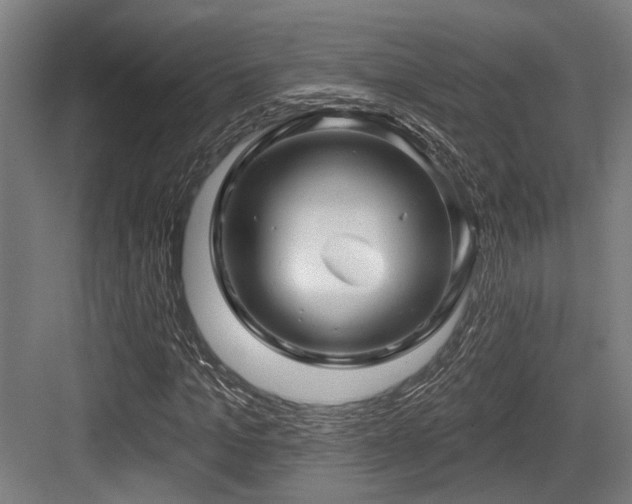 X0000083970965200702161059
