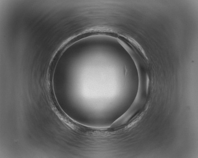 X0000083970981200702161059
