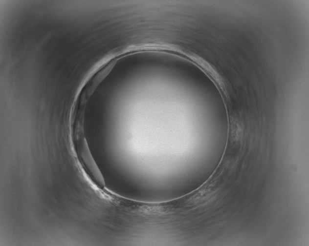 X0000083971006200702161058