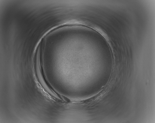 X0000083971008200702161058