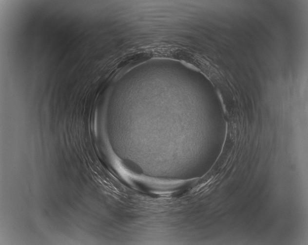 X0000083971010200702161058