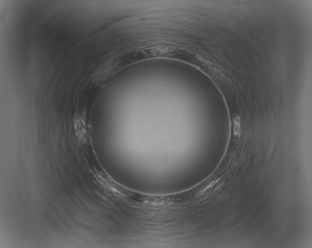 X0000083971011200702161058