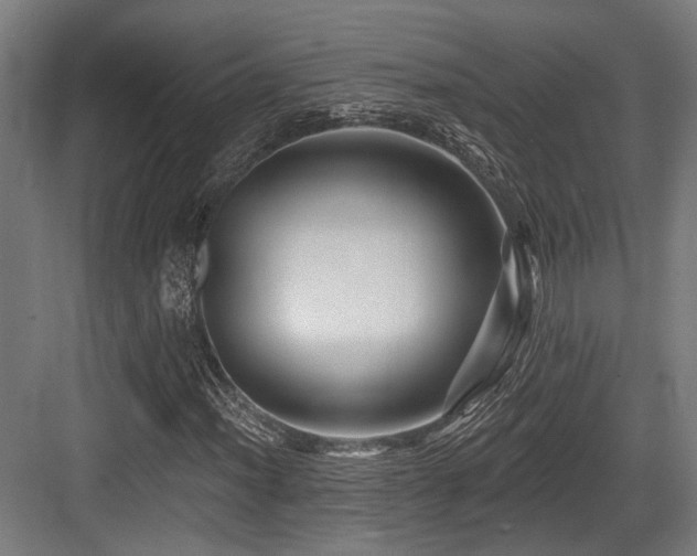 X0000083971012200702161058