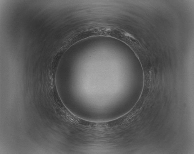 X0000083971013200702161058