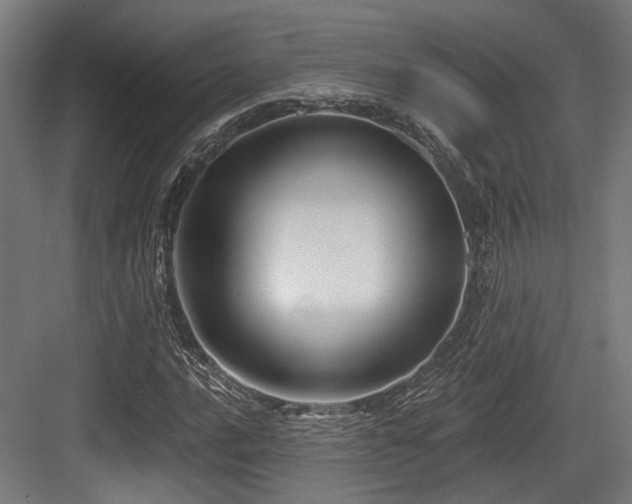 X0000083971016200702161058
