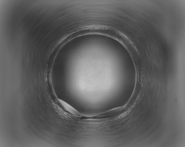 X0000083971017200702161058