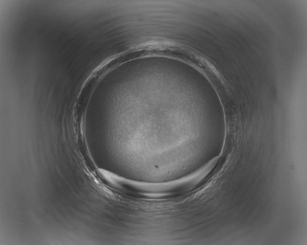 X0000083971018200702161058