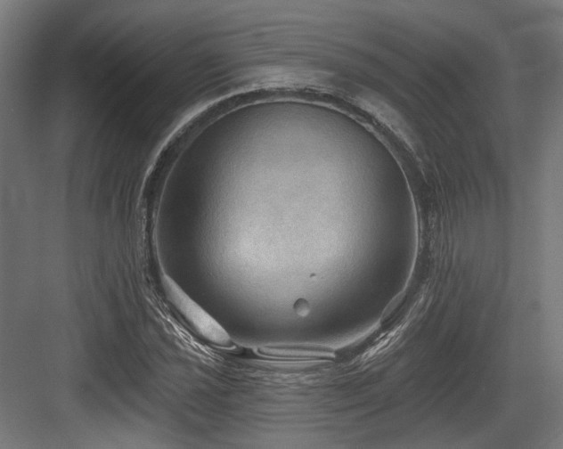 X0000083971021200702161058
