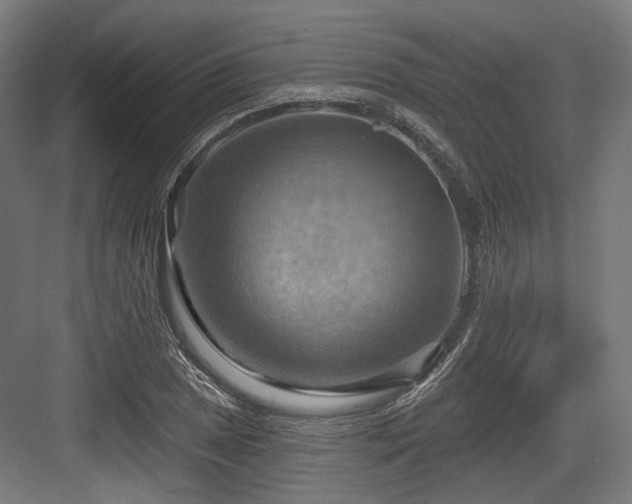 X0000083971025200702161058