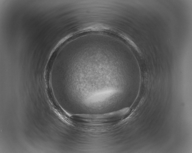 X0000083971026200702161058