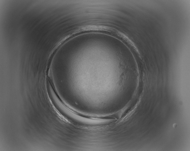 X0000083971033200702161058