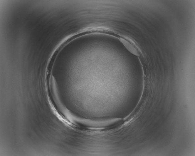 X0000083971038200702161058