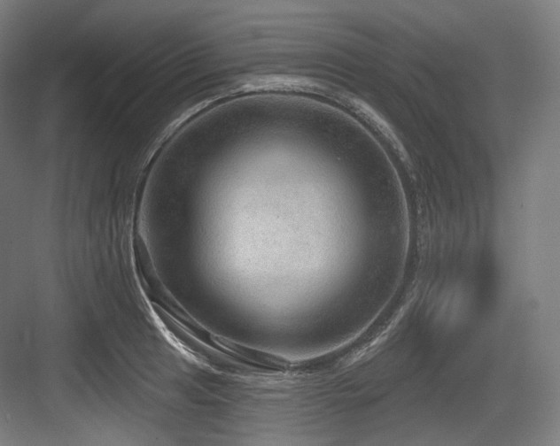 X0000083971041200702161058