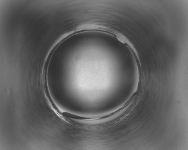 X0000083971053200702161058