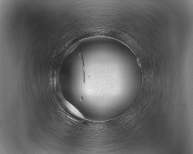 X0000083971058200702161058