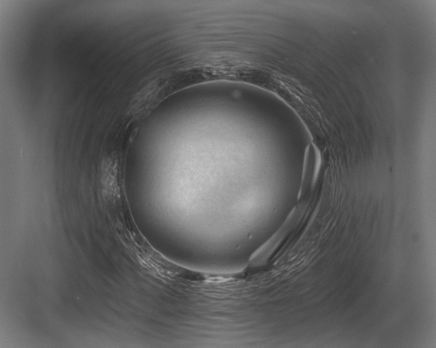 X0000083971060200702161058
