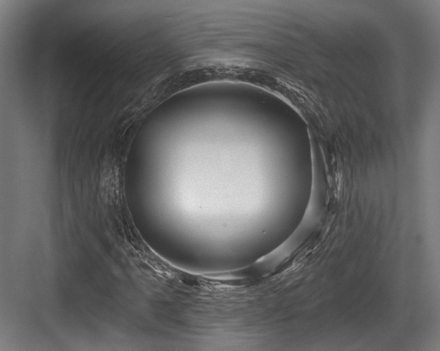 X0000083971061200702161058