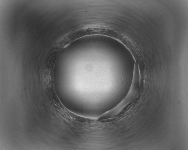 X0000083971062200702161058