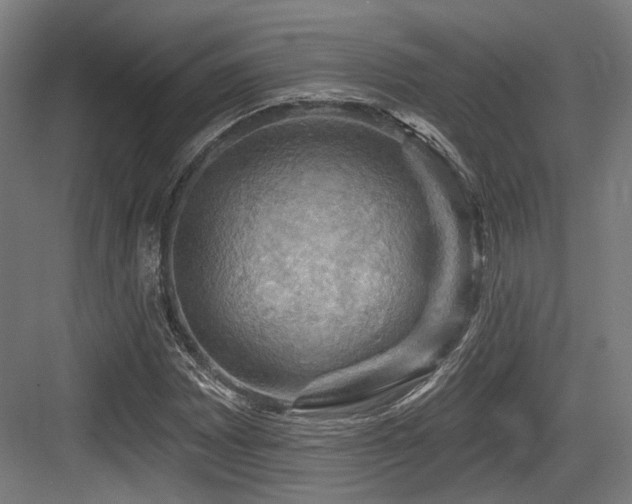 X0000083971065200702161057