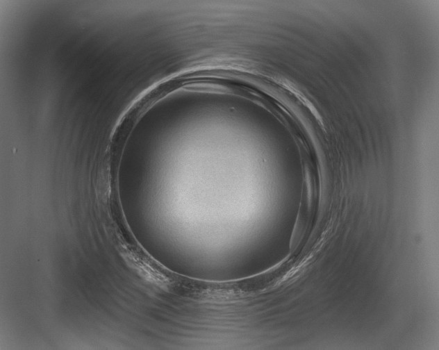 X0000083971069200702161057