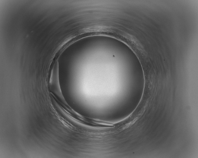 X0000083971073200702161057