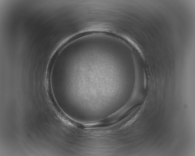 X0000083971077200702161057