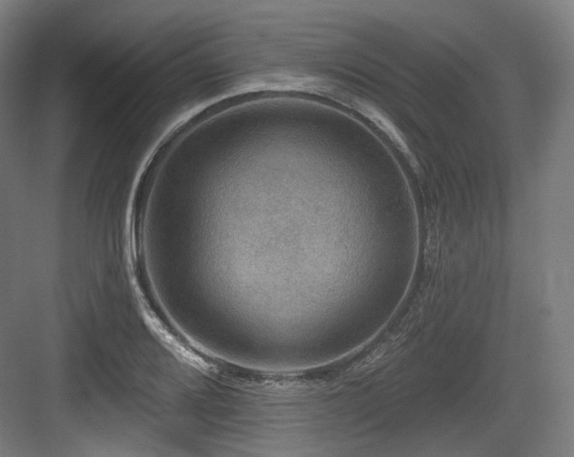 X0000083971080200702161057