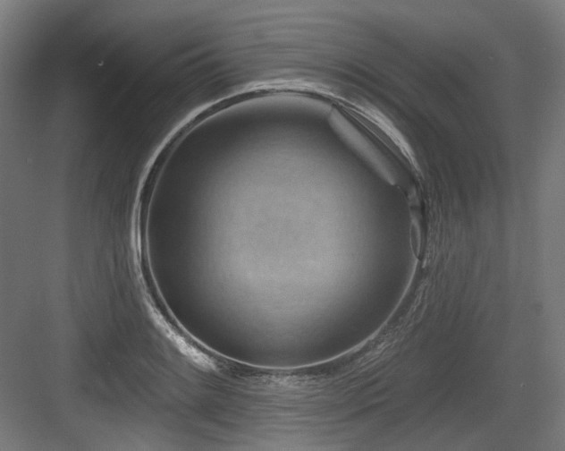 X0000083971084200702161057