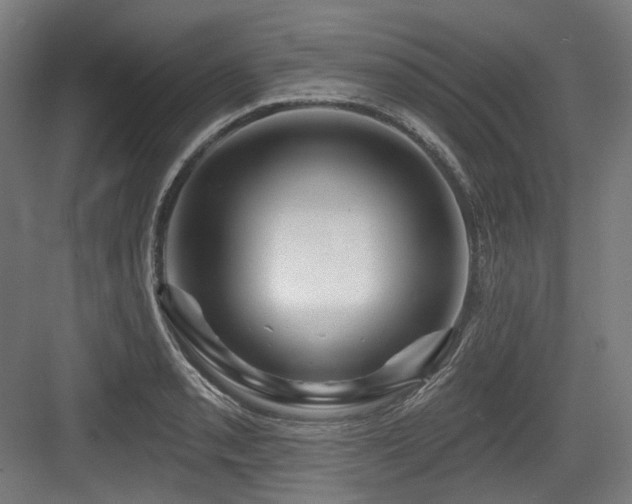 X0000083971085200702161057