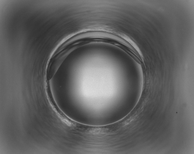 X0000083971093200702161057
