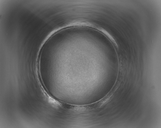 X0000083971094200702161057