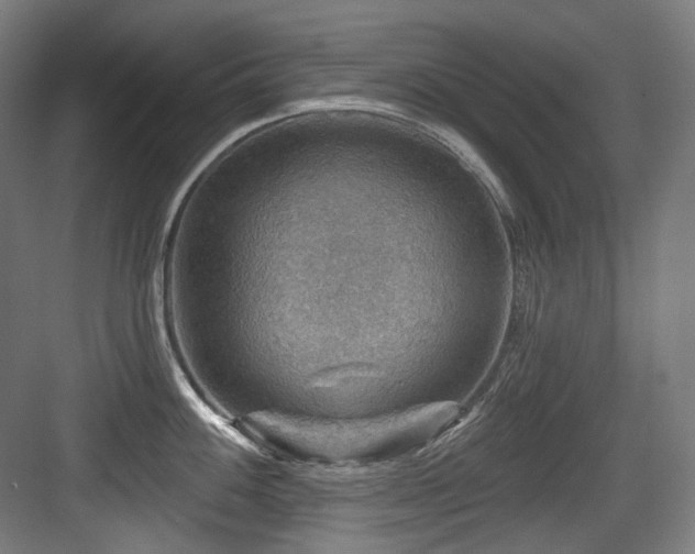 X0000083971100200702161057