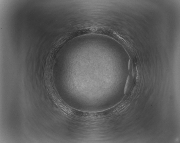 X0000083971105200702161056