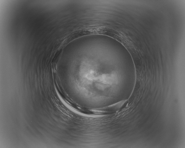 X0000083971106200702161056