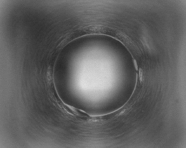 X0000083971107200702161056
