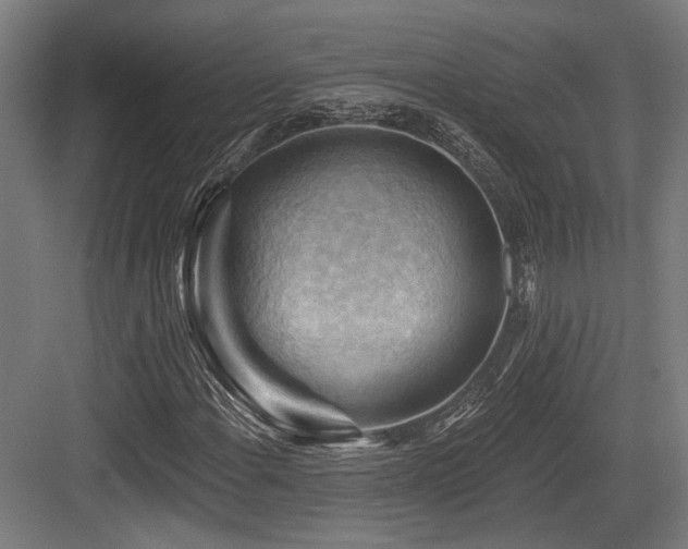 X0000083971108200702161056