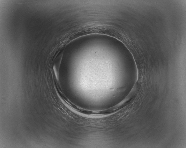 X0000083971109200702161056