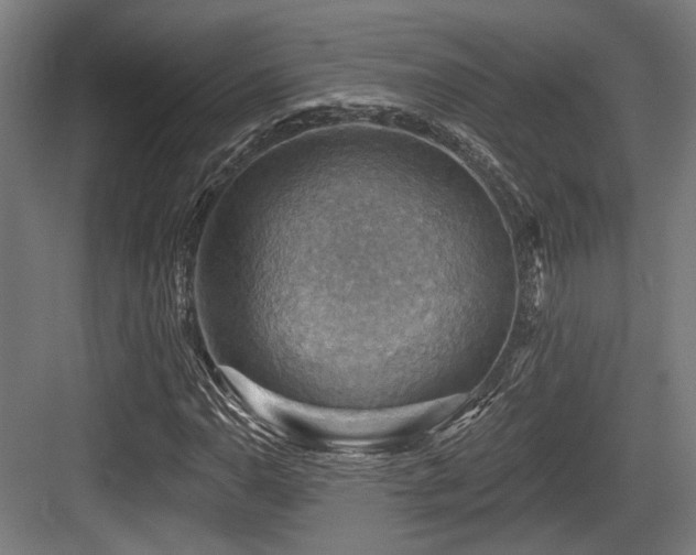 X0000083971110200702161056