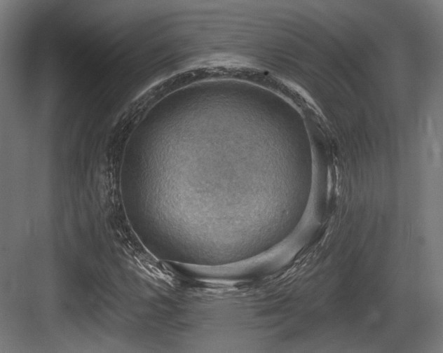 X0000083971112200702161056